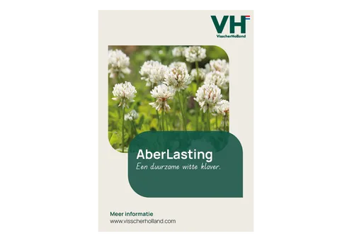 AberLasting Flyer - 2026 - VisscherHolland