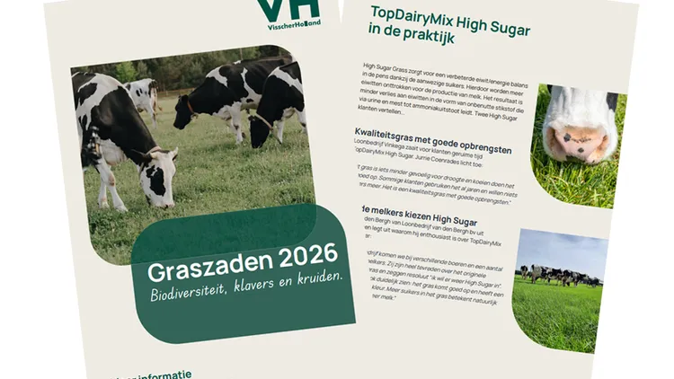 Grasbrochure - 2026 - VisscherHolland