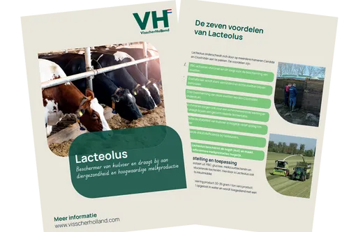 Lacteolus - 2026 - VisscherHolland