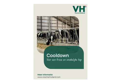Cooldown - 2026 - VisscherHolland