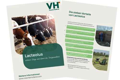 Lacteolus DE - 2026 - VisscherHolland