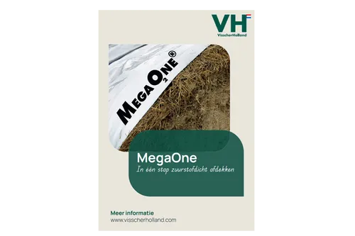 MegaOne - 2026 - VisscherHolland