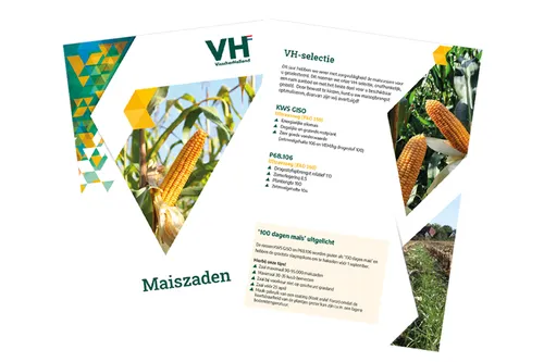 Maiszadenbrochure - 2026 - VisscherHolland