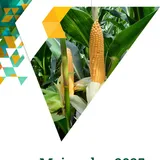 Maiszadenbrochure - 2025 - VisscherHolland