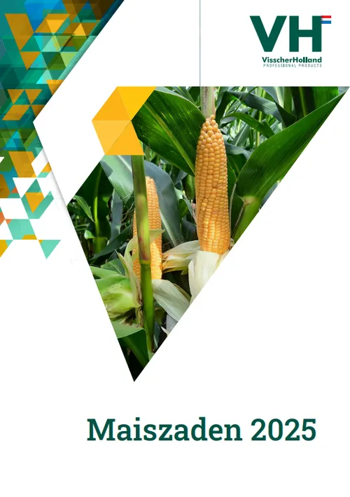 Maiszadenbrochure - 2025 - VisscherHolland