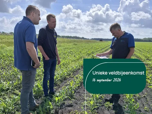 Unieke veldbijeenkomst - 2026 - VisscherHolland
