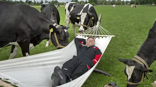 Zorgeloos boeren - Martijn in hangmat - VisscherHolland