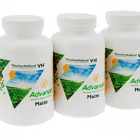 Advance Mais