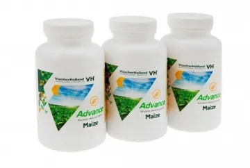 Advance Mais