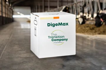 DigeMax VisscherHolland