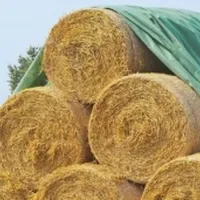 MegaCover Kuiltoebehoren VisscherHolland