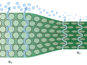 TrioBale Compressor Mantelfolie - PlusTech Technologie - VisscherHolland