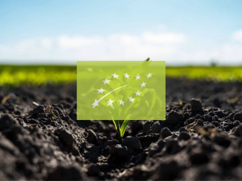 Maiszaad - Biologisch - VisscherHolland