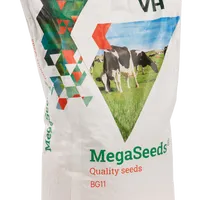 MegaSeeds BG11 - Graszaad - VisscherHolland