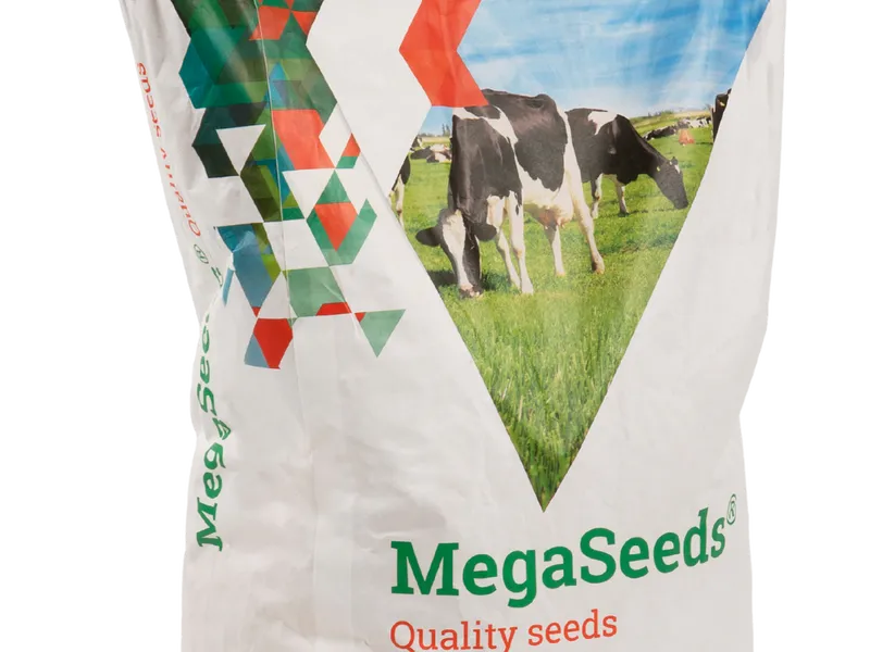 MegaSeeds BG11 - Graszaad - VisscherHolland
