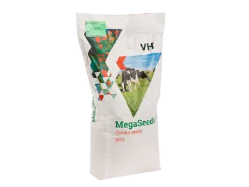 MegaSeeds BG11 - Graszaad - VisscherHolland