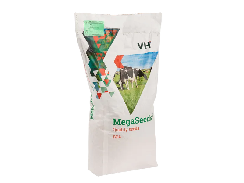 MegaSeeds BG4 - Graszaad - VisscherHolland