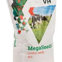 MegaSeeds BG3 - Graszaad - VisscherHolland