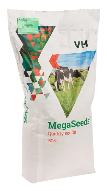 MegaSeeds BG3 - Graszaad - VisscherHolland