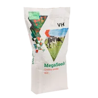 Mega Seeds BG3