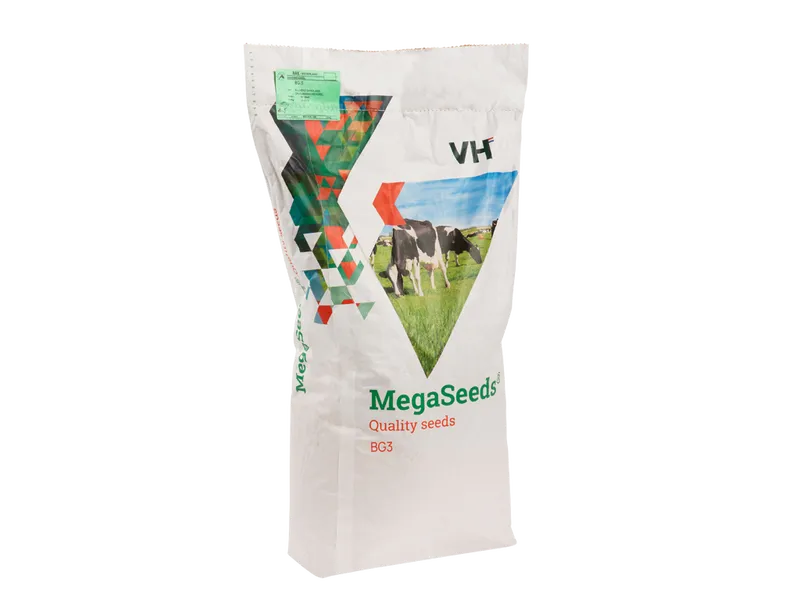 Mega Seeds BG3