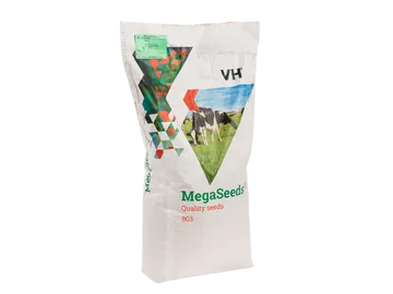 Mega Seeds BG3
