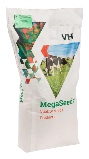MegaSeeds Productie - Graszaad - VisscherHolland