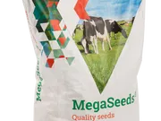 MegaSeeds Productie - Graszaad - VisscherHolland