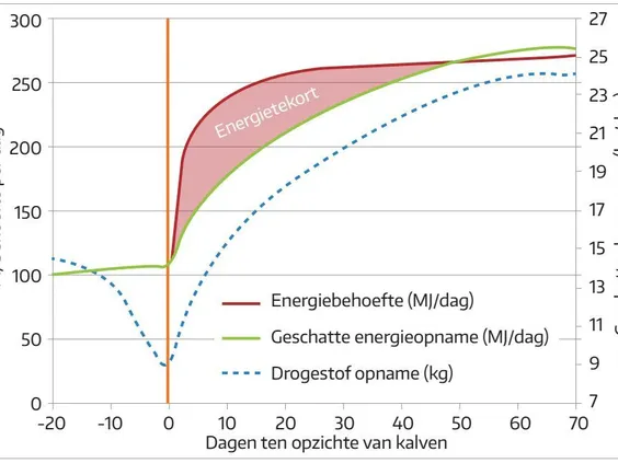 Energiebehoefte - TheTransitionCompany