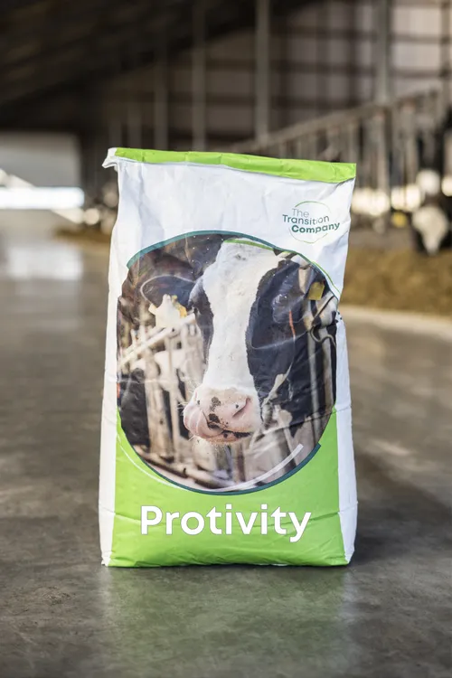 Protivity - TheTransitionCompany