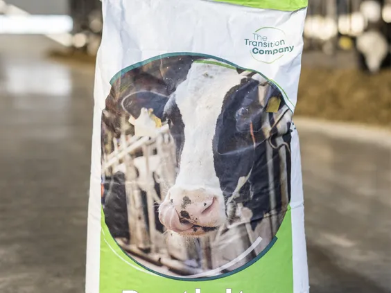 Protivity - TheTransitionCompany