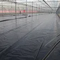 Kwekerij Stadsweiden - MegaLeen - VisscherHolland