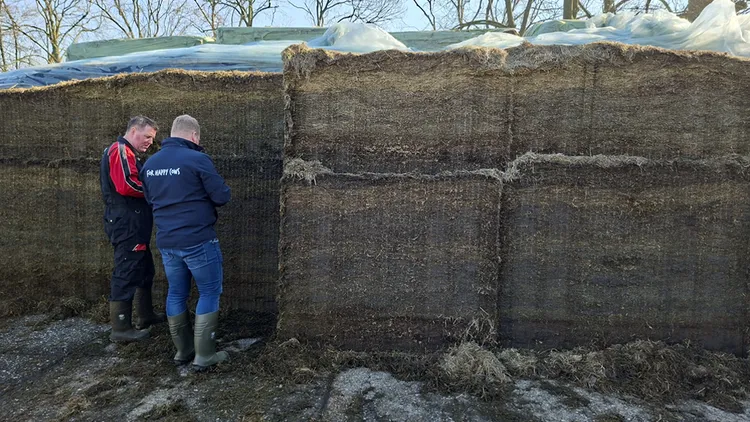 Peter van Beest Lacteolus