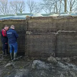 Peter van Beest Lacteolus