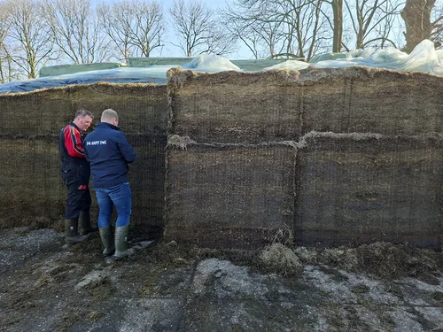 Peter van Beest Lacteolus