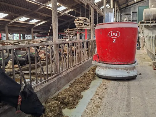 Peter van Beest Lacteolus 2