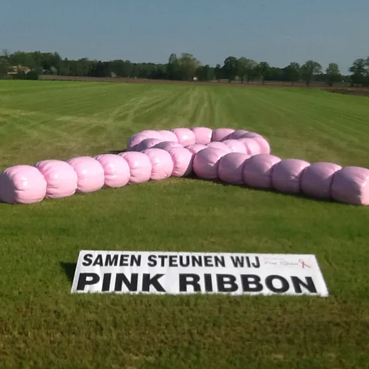 Pink Ribbon Actie VisscherHolland