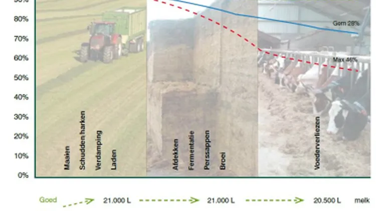 Verliezen bij ruwvoerwinning - VisscherHolland