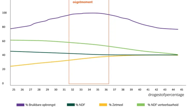 Optimale maisoogstmoment vanuit de koe - VisscherHolland