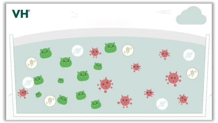 Strijd onder het plastic - VisscherHolland