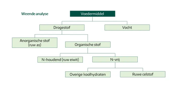 Weende analyse - Kuilkwaliteit - VisscherHolland