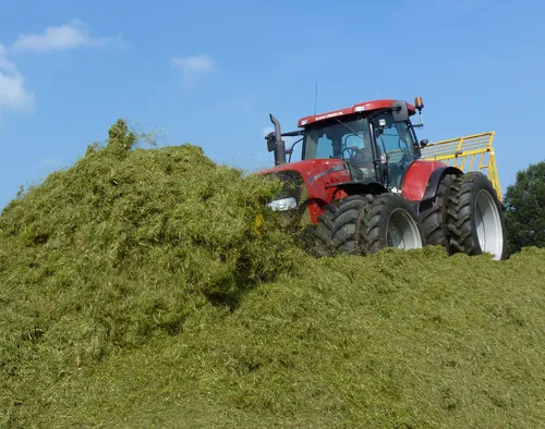 Trekker verdeelt kuilbult - VisscherHolland
