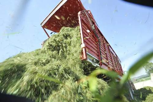 Gras inkuilen - Advance - VisscherHolland