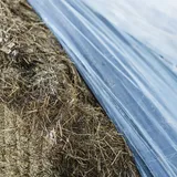 Close-up kuil - VisscherHolland