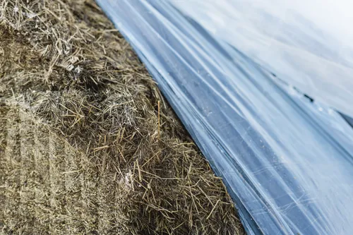 Close-up kuil - VisscherHolland