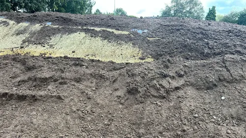 Scheurende maisbult door zand - VisscherHolland