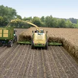 Maïs hakselen - VisscherHolland