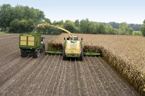 Maïs hakselen - VisscherHolland