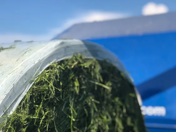 Mantelfolie - Close-up - VisscherHolland