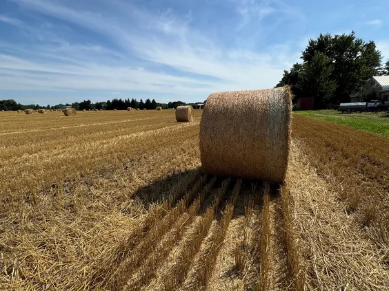 Balen met VitoNet Orange - VisscherHolland